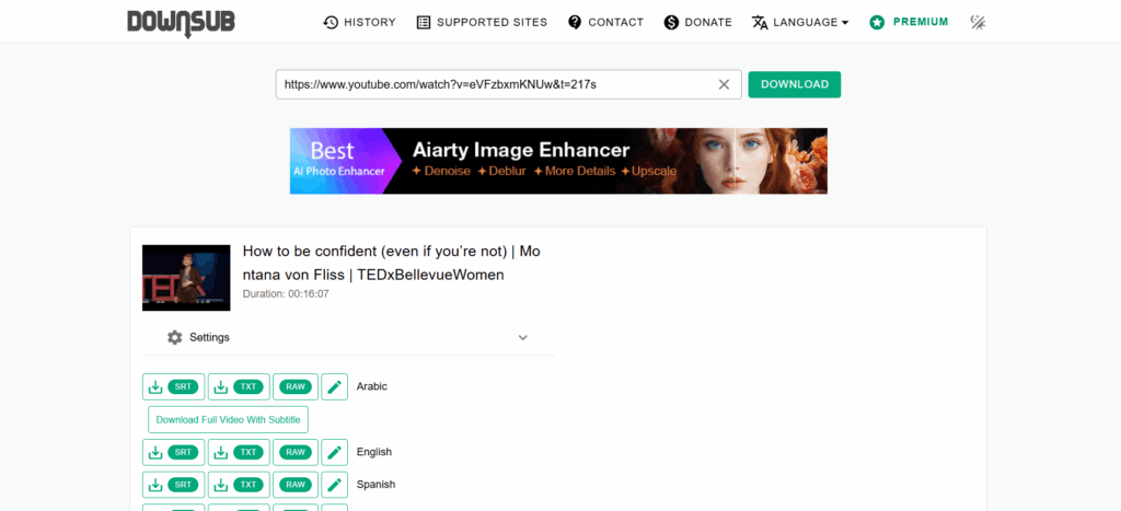 DownSub — Best for Fast Extraction of Existing Captions