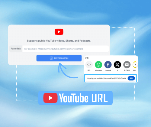 Step 1: Paste the YouTube Video Link
