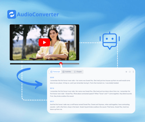 What is YouTube Subtitle Downloader?