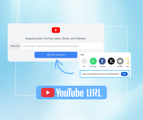 Step 1: Paste Your YouTube Video Link